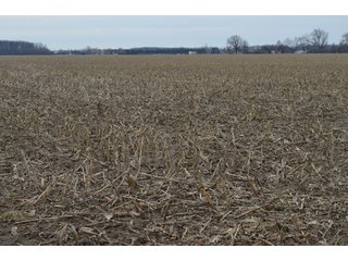 Property photo 14 - 173 +/- Acres Offered in 3 Tracts - Ohio Farmland